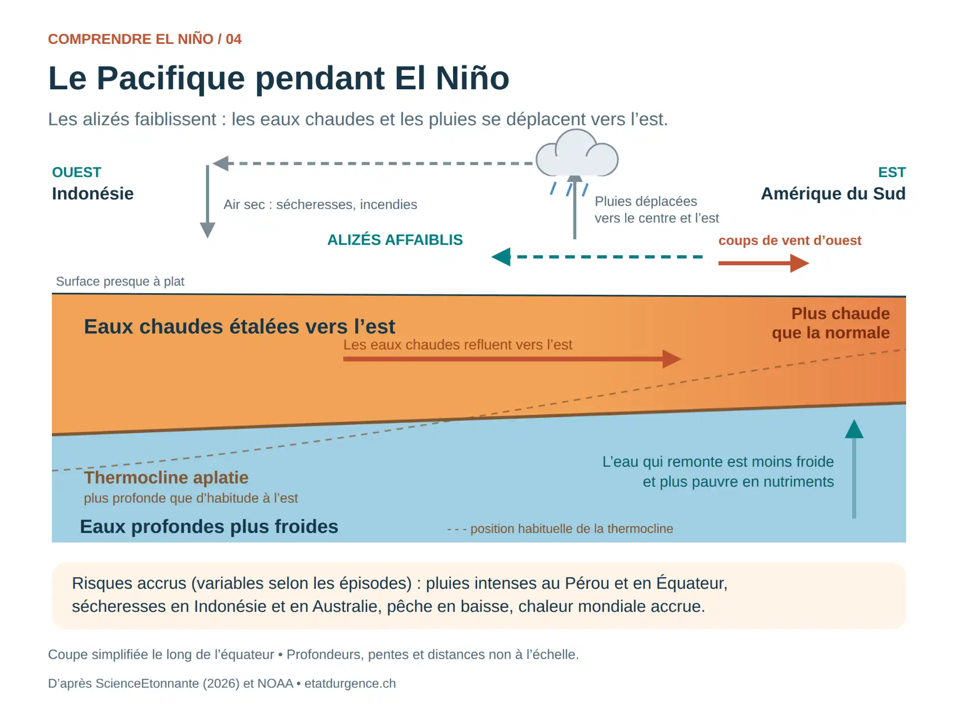 Coupe du Pacifique équatorial pendant El Niño : alizés affaiblis, eaux chaudes étalées vers l’est, thermocline aplatie, pluies déplacées vers le centre et l’est du Pacifique.