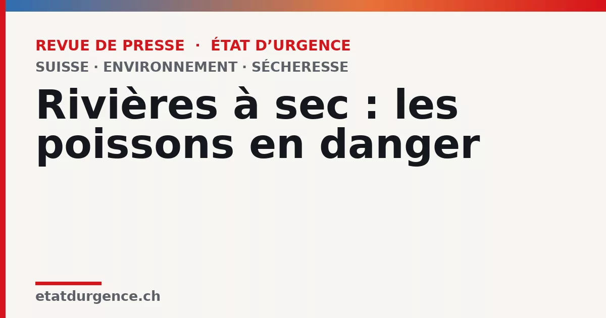Visuel Revue de presse État d’urgence : Rivières à sec : les poissons en danger